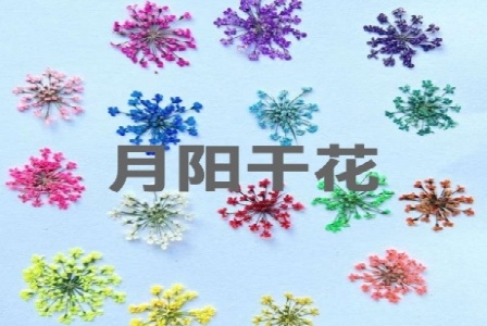 合肥达聚有网络科技有限公司形象图